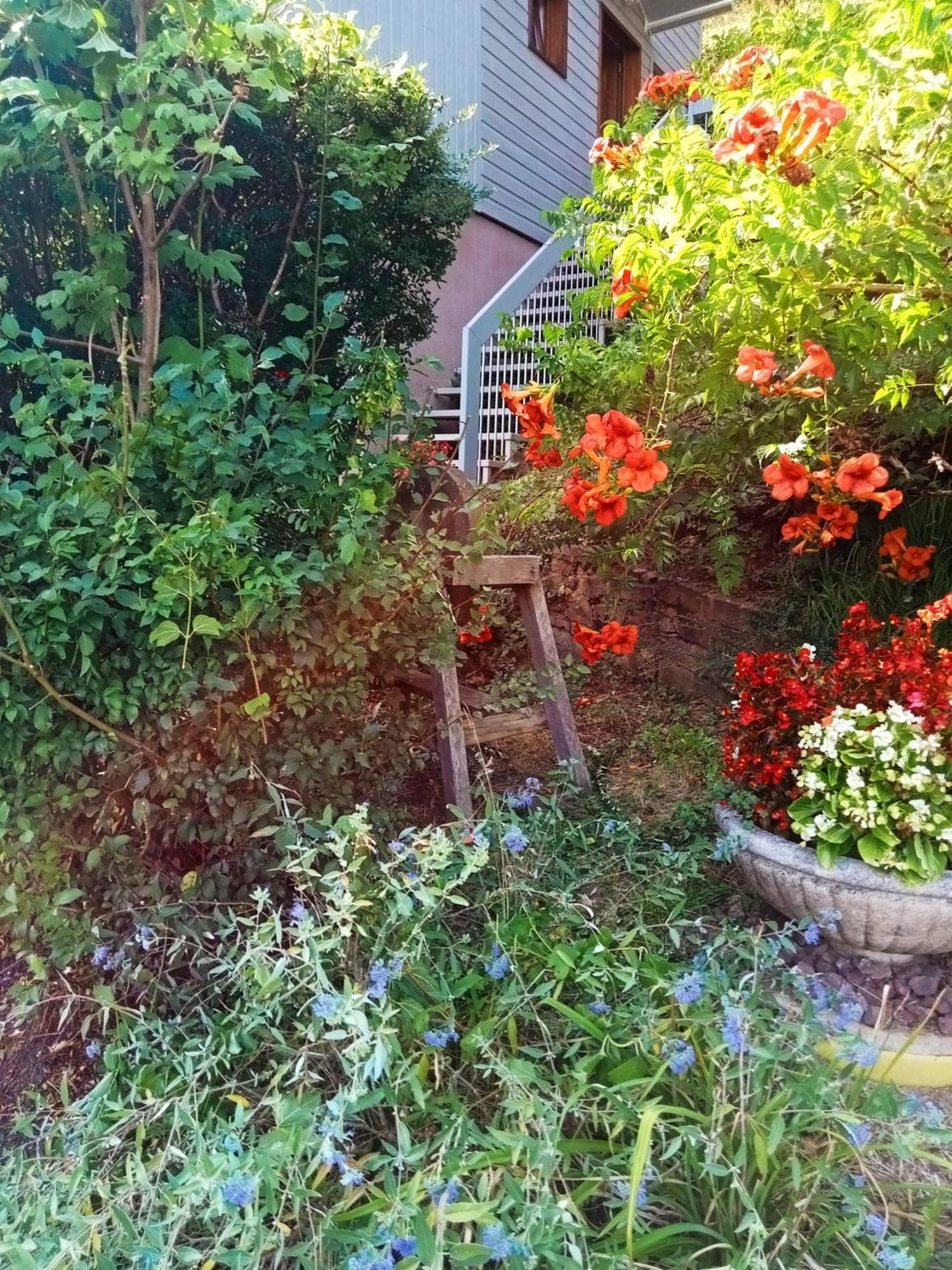 Hébergement de vacances La Maisonnette En Bois *