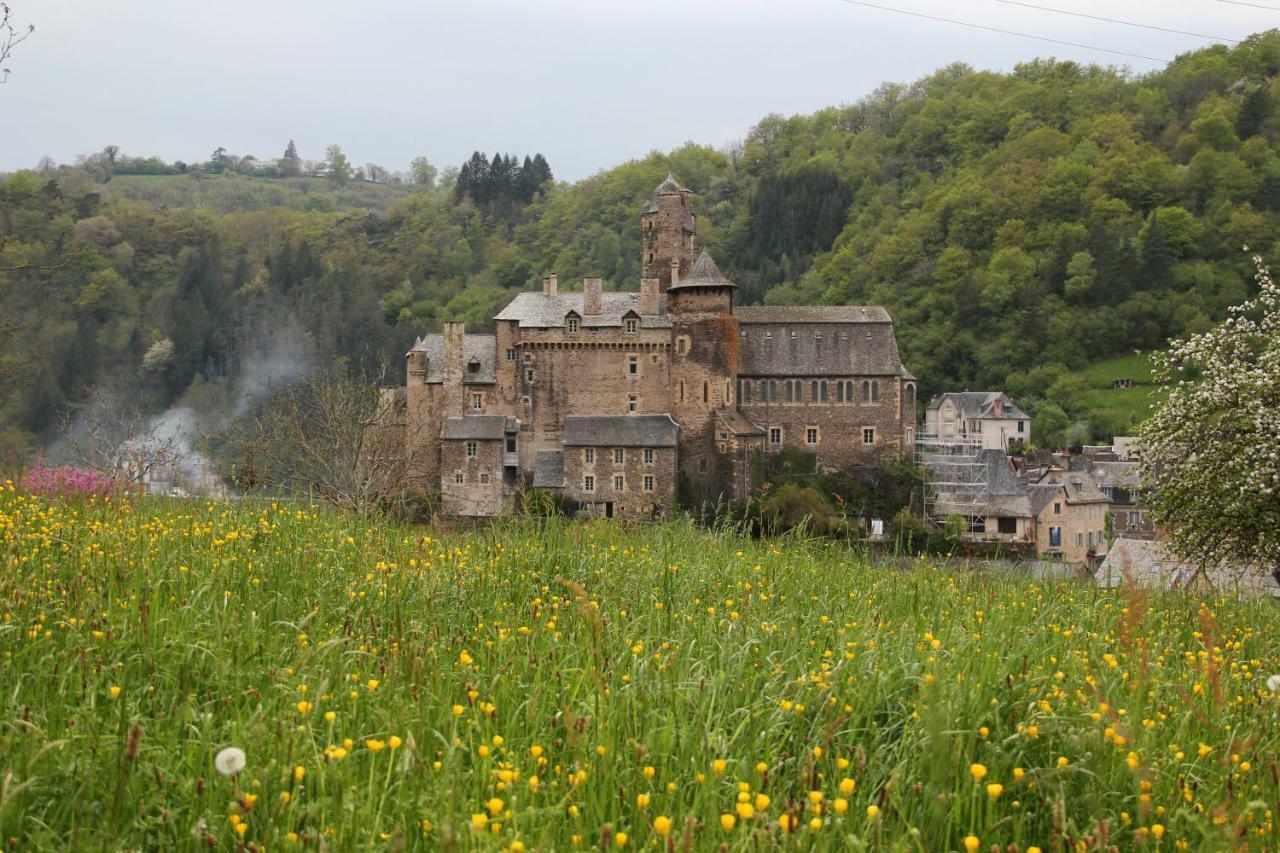 Hébergement de vacances La Maisonnette En Bois Estaing (Aveyron)