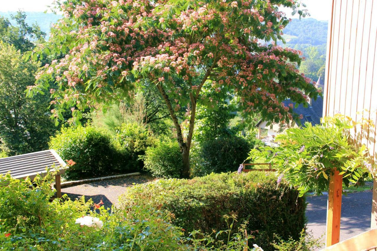 Hébergement de vacances La Maisonnette En Bois Estaing (Aveyron)